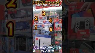 700口のロッカーガチャ‼️3000円で当たりを引き当てろ‼️5日目1000円ガチャ ガレージマーケット牧之原店 [upl. by Forta]