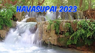 Exploring the Possibility of Visiting Havasupai Falls in 2023 [upl. by Camilia]