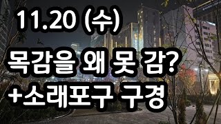 목감을 왜 못 감 소래포구 구경 1120 수요일 뚜벅이 대리운전기사 브이로그 chauffeur vlog [upl. by Eamon923]