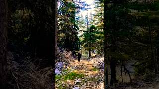 Amazing beautiful Toroslar mountain mavriyan plateau travel wiev keşfet doğa forest montain [upl. by Aneetsirk]