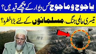 Yajooj o Majooj kis Dewar ke Peechy Qaid hain  Allama Farooq Raza Altejani  Neo Islamic [upl. by Kenta474]