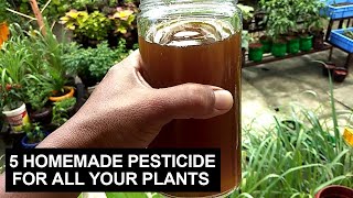 5 Homemade Pesticide For All Your Plants I Step By Step Procedures [upl. by Elfie]