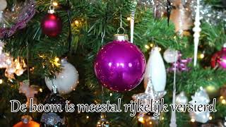 1 minuut natuur kerstboom [upl. by Gisela]