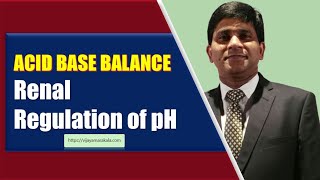 Renal regulation of pH Acidbase balance biochemistry [upl. by Rainwater732]