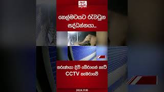 හෙල්මටයට රැවටුන සද්ධන්තයා තරුණයා දිවි බේරාගත් හැටි CCTV කැමරාවේ cctv elephant [upl. by Past]