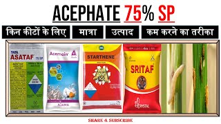 Acephate 75 SP प्रयोग  मात्रा  किन कीटों के लिए  कार्य करने का तरीका  Asataf Acemain Stritaf [upl. by Airdua]