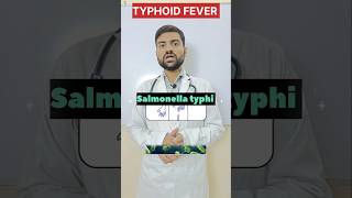 Typhoid Fever 🤒Treatment Typhoid Symptoms shorts viralvideo studentlife motivation neet [upl. by Sira877]