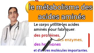 le métabolisme des acides aminés [upl. by Tice]