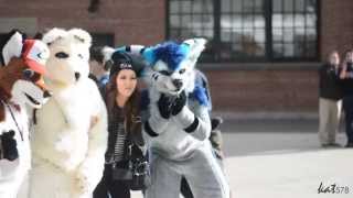 Fursuiting in Downtown TORONTO Toronto Furwalk 2015 [upl. by Myo310]