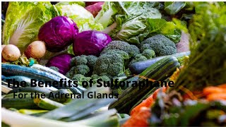 The Benefits of Sulforaphane For The Adrenal Glands [upl. by Ynffit]