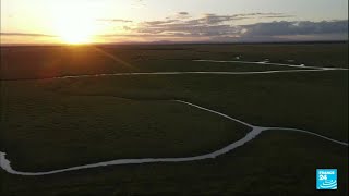 Mozambique  la renaissance du Parc national de Gorongosa • FRANCE 24 [upl. by Ennovart]