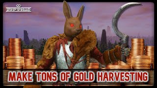 3 Best Ways To Make Gold Harvesting New World Aeternum [upl. by Kinson]