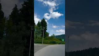 Nigaro 🕊️🥀youtubeshorts kashmirisongs explore travel viralreel [upl. by Aytak]