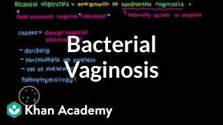 What is bacterial vaginosis  Infectious diseases  NCLEXRN  Khan Academy [upl. by Fiedler908]