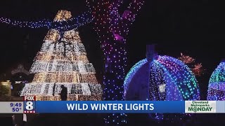 Wild Winter Lights returns to the Cleveland Metroparks Zoo [upl. by Vedetta]