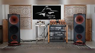 Chameleon Audio HiEnd Systems [upl. by Nerte]