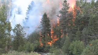 Close Up Footage Of The High Park Fires In Colorado  Forest Fire [upl. by Hartfield]