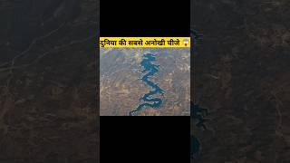 दुनिया की सबसे अनोखी चीजें 😱  Amazing facts In Hindi facts foodiefacts amazingfacts shorts [upl. by Dur95]