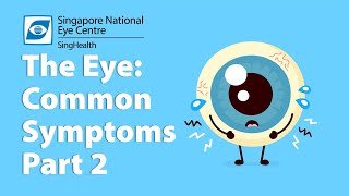 Common Eye Symptoms Part 2 Eye Discharge Red Eyes Itchy Eyes amp Pain in the Eyes [upl. by Akselav870]