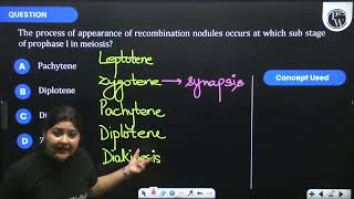 The process of appearance of recombination nodules occurs at which sub stage of prophase I in me [upl. by Richmond]