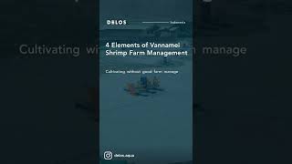 4 Elements of Vannamei Shrimp Farm Management DELOSPedia [upl. by Jagir]