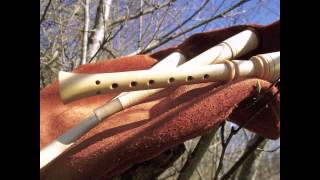 Medieval Bagpipes  The Rostock Bagpipe [upl. by Ferris]