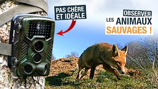 LE PIÈGE PHOTO idéal pour observer FACILEMENT tous les ANIMAUX SAUVAGES [upl. by Merriam]