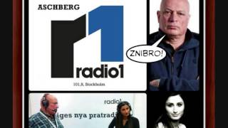 Aschberg  Radio1  Jaris elefantbössa på Suezkanalen [upl. by Arney]