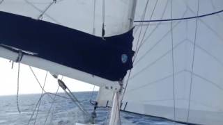 Sailing My Sadler 26  False Bay Singlehanded [upl. by Volney]