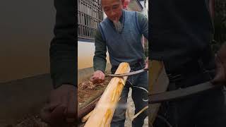 The process of peeling bark from a log [upl. by Clemence217]