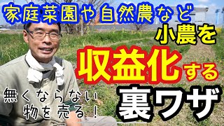 家庭菜園や自然農など『小農』を収益化する裏ワザ【プチ起業副業農業を仕事にする】 [upl. by East]