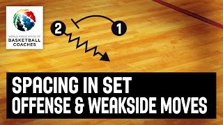 Spacing in set offense and weakside movement  Aleksandar Dzikic  Basketball Fundamentals [upl. by Ynohtnael763]