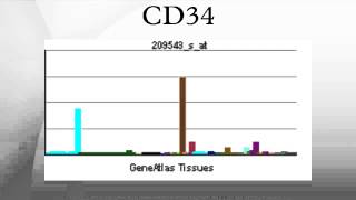 CD34 [upl. by Prevot]