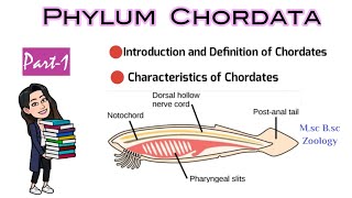 Part1 Introduction and Definition of ChordatesCharacteristics of ChordatesMsc Bsc Zoology NEET [upl. by Atnicaj724]