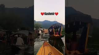 Nigaro kashmiri songkashmirnatureviralvideo trendingvideo [upl. by Ricker]