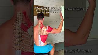 Shoulder pain relief exercise and improve shoulder mobility [upl. by Eziechiele]