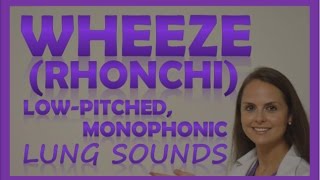 Wheezes Lung Sounds Monophonic Rhonchi Breath Sounds Abnormal Sonorous Wheeze [upl. by Gherardi750]