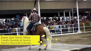 Caballo Bailador Del Rancho Rivera del Colorado en la ExpoGan Sonora [upl. by Meisel372]