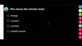 Who chases the minivets away   Class 8th English Question [upl. by Neehsas]