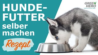 Hundefutter mit Hackfleisch selber machen  Rezept [upl. by Megan]