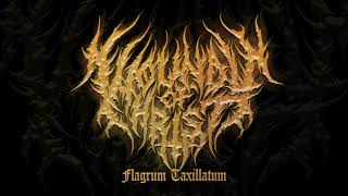 Wounds of Christ  Flagrum Taxillatum PROMO 2022 [upl. by Kowatch676]