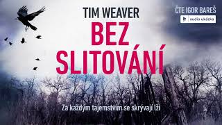 Tim Weaver  Bez slitování  Audiokniha [upl. by Nal]