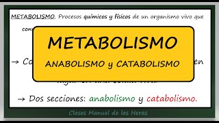 METABOLISMO Diferencia Anabolismo y Catabolismo Autótrofos y Heterótrofos Biología Bachillerato [upl. by Enimsaj]