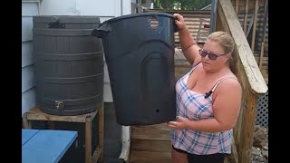 DIY Rain Barrel Setup for purchased and Homemade Rain Barrel [upl. by Aihsemat]