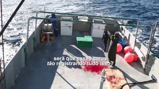 Barco japonês domina pesca de atum em águas do Brasil [upl. by Ennaillek849]