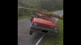 Westport man survives after tree crashes down on his car [upl. by Prochora]