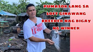 PUMASOK LANG SA LOFT NAGING WINNER ANG ANAK RONALD SALON NAGA CITY Reggie Cruz Loft amp Aviary [upl. by Ardrey]