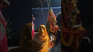 tulsi tulshipuja shortvideo song maa tulsi [upl. by Reiss]