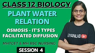 Class 12  Plant Water Relation Osmosis  Its types Facilitated Diffusion  Gyanlab Anjali Patel [upl. by Ellenad52]