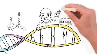 CRISPR History of Discovery [upl. by Scever]